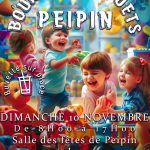 Affiche bourse aux jouets du Comité des Fêtes Peipinois 