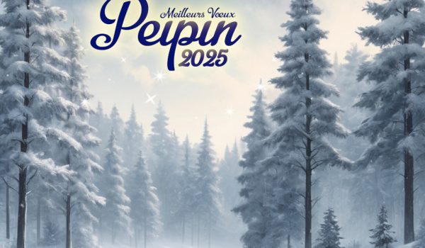 Carte de vœux 2025 de Peipin